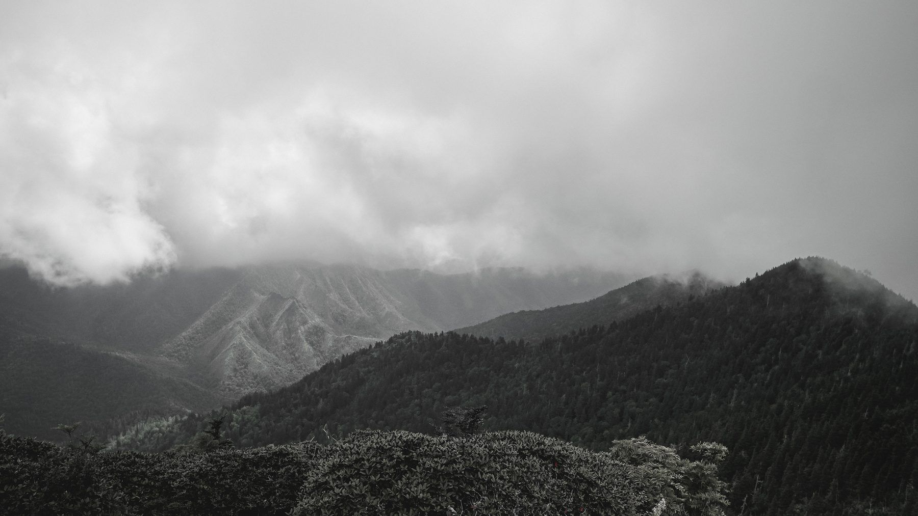 Forested mountain slopes beneath low-hanging clouds, in black and white